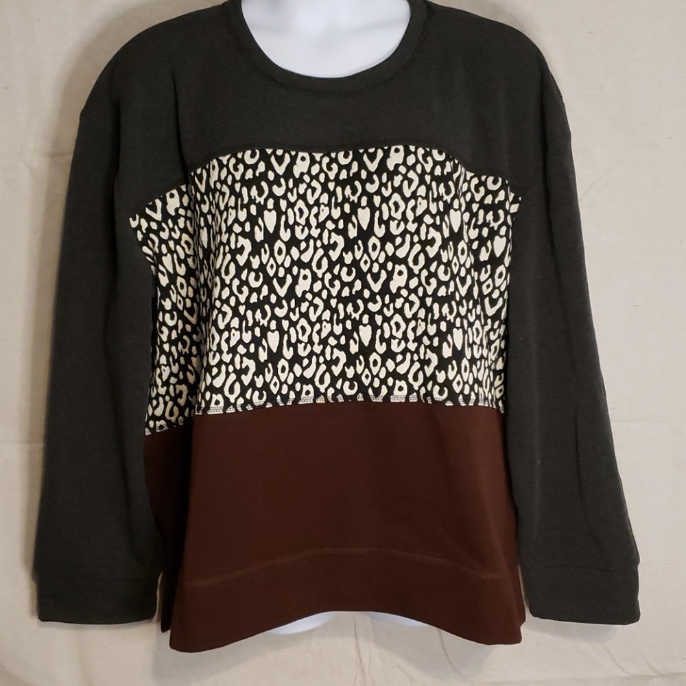 Color block Sweatshirt